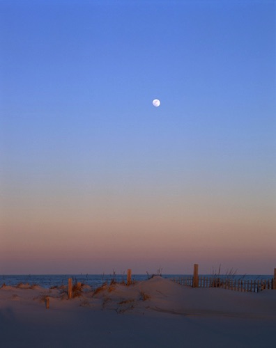 Moonrise, Island Beach State Park, Ocean County, NJ (MF).jpg Moonrise, Island Beach State Park, Ocean County, NJ (MF).jpg